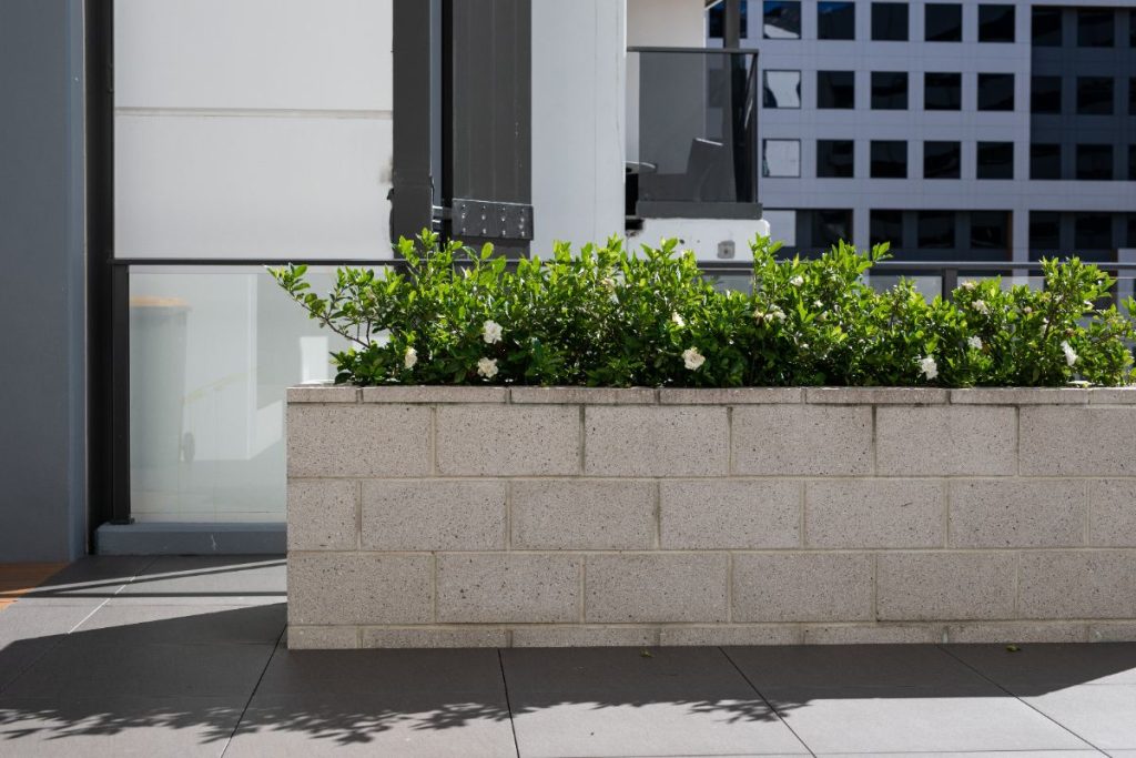 Des plantes dans une jardinière en parpaing