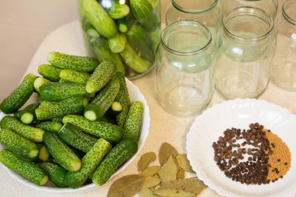 Comment préparer des cornichons maison sans passer par l'étape du dégorgement ? Une assiette remplie de cornichons