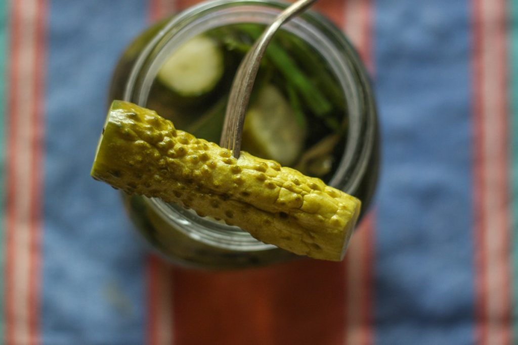 Comment préparer des cornichons maison sans passer par l'étape du dégorgement ? Une personne prenant du cornichon avec une fourchette