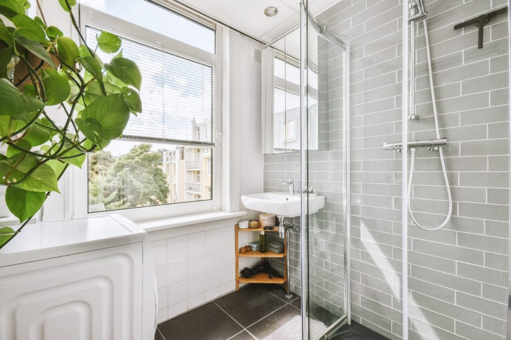 Un cabinet de douche et une plante verte dans la salle de bain